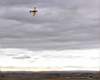 Duane's Air Tractor 502b