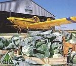 Air Tractor 402b