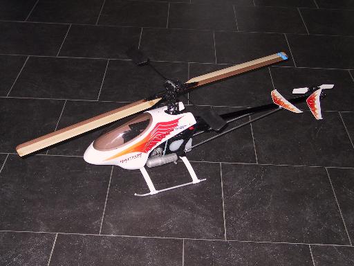 raptor30.jpg