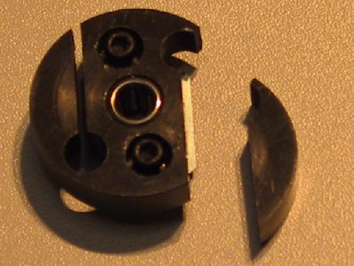 raptor_07.jpg